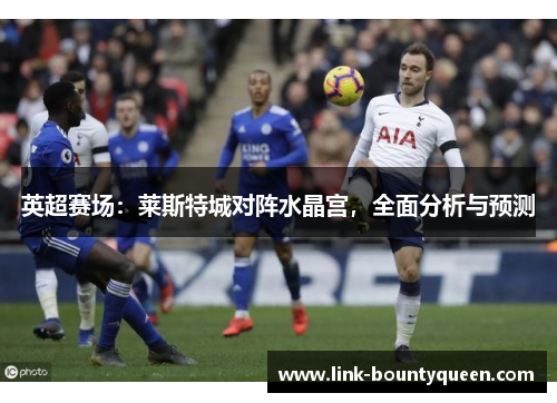 英超赛场:莱斯特城对阵水晶宫,全面分析与预测 英超赛场:莱斯特城对阵水晶宫,全面分析与预测